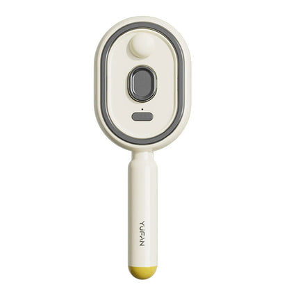 Electric Steam Brush USB-C Charging Wet Electrics Hairbrush Anti-Static Red Light Hair Brush for Both Long & Short Hairs