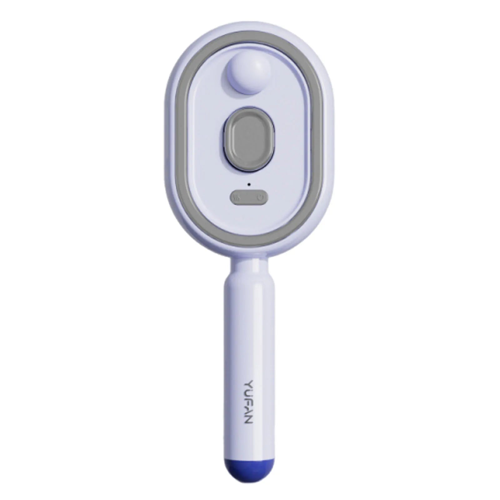 Electric Steam Brush USB-C Charging Wet Electrics Hairbrush Anti-Static Red Light Hair Brush for Both Long & Short Hairs