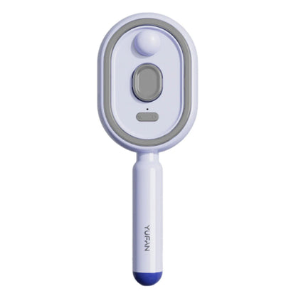 Electric Steam Brush USB-C Charging Wet Electrics Hairbrush Anti-Static Red Light Hair Brush for Both Long & Short Hairs