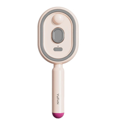 Electric Steam Brush USB-C Charging Wet Electrics Hairbrush Anti-Static Red Light Hair Brush for Both Long & Short Hairs