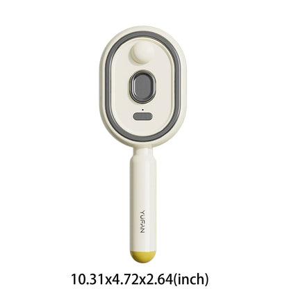 Electric Steam Brush USB-C Charging Wet Electrics Hairbrush Anti-Static Red Light Hair Brush for Both Long & Short Hairs