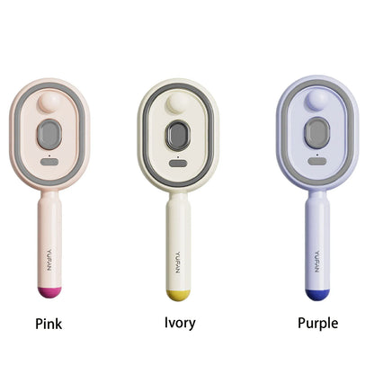 Electric Steam Brush USB-C Charging Wet Electrics Hairbrush Anti-Static Red Light Hair Brush for Both Long & Short Hairs